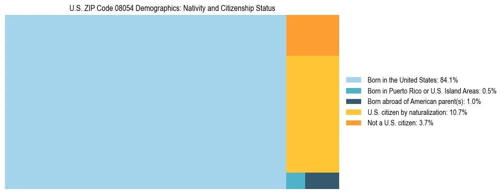 Treemap showing the population distribution by nativity and citizenship status in US ZIP Code 08054 based on U.S. Census data.