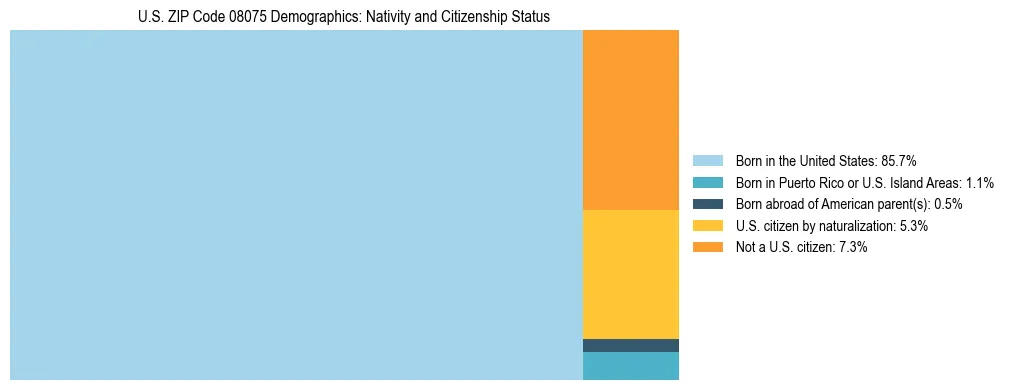 Treemap showing the population distribution by nativity and citizenship status in US ZIP Code 08075 based on U.S. Census data.