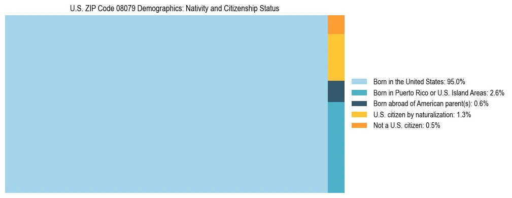Treemap showing the population distribution by nativity and citizenship status in US ZIP Code 08079 based on U.S. Census data.