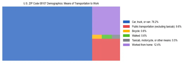 Treemap showing means of transportation to work distribution in US ZIP Code 08107.