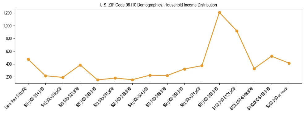 Horizontal bar chart showing household income distribution in US ZIP Code 08110.