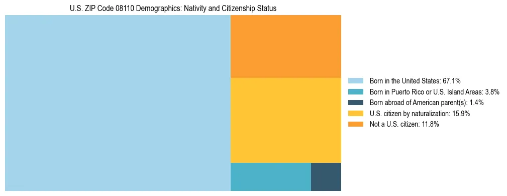 Treemap showing the population distribution by nativity and citizenship status in US ZIP Code 08110 based on U.S. Census data.