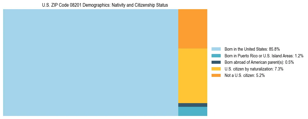 Treemap showing the population distribution by nativity and citizenship status in US ZIP Code 08201 based on U.S. Census data.
