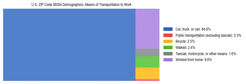 Treemap showing means of transportation to work distribution in US ZIP Code 08204.