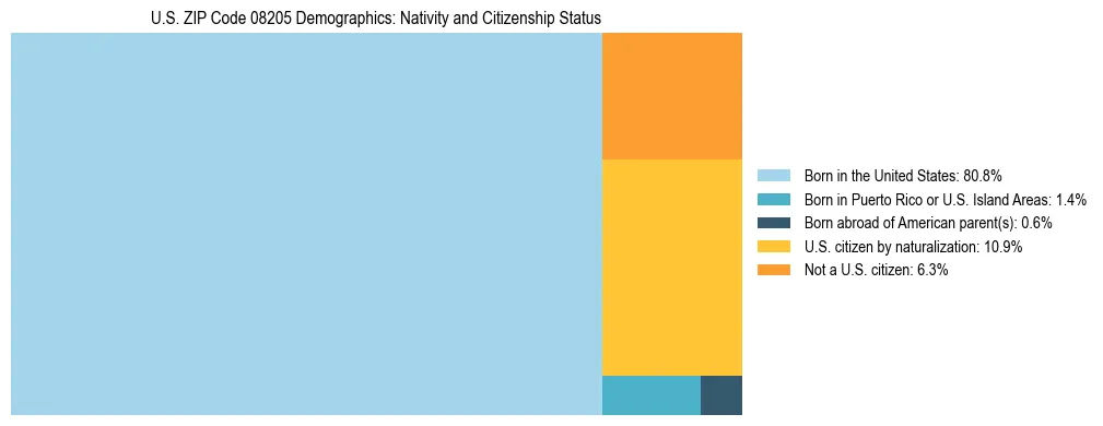 Treemap showing the population distribution by nativity and citizenship status in US ZIP Code 08205 based on U.S. Census data.