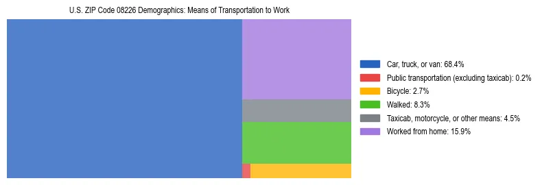 Treemap showing means of transportation to work distribution in US ZIP Code 08226.