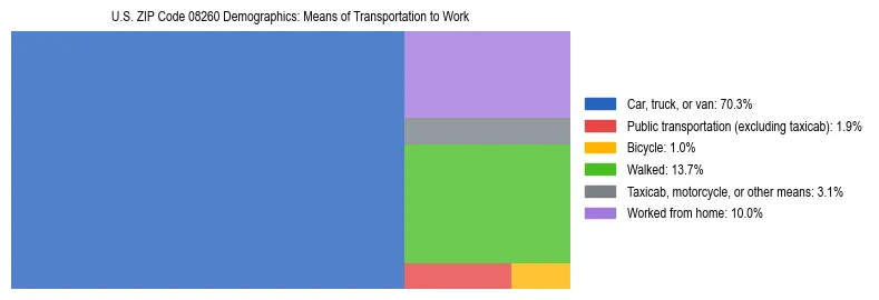 Treemap showing means of transportation to work distribution in US ZIP Code 08260.