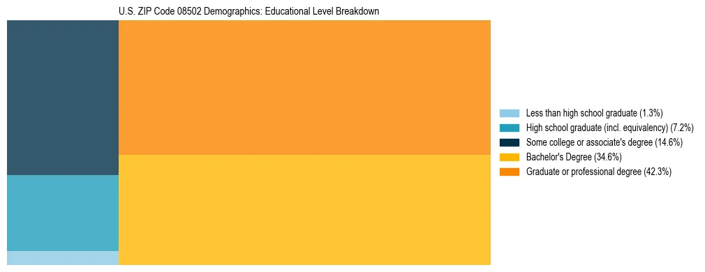 Treemap chart illustrating the educational attainment breakdown for population 25 years and over in US ZIP Code 08502.