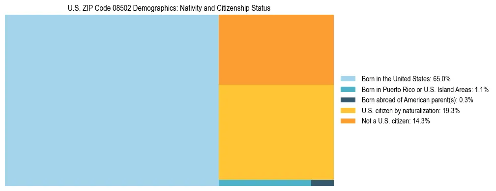Treemap showing the population distribution by nativity and citizenship status in US ZIP Code 08502 based on U.S. Census data.