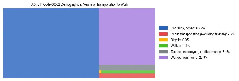 Treemap showing means of transportation to work distribution in US ZIP Code 08502.