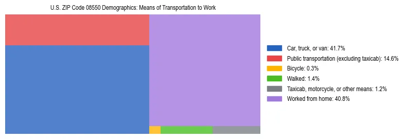 Treemap showing means of transportation to work distribution in US ZIP Code 08550.