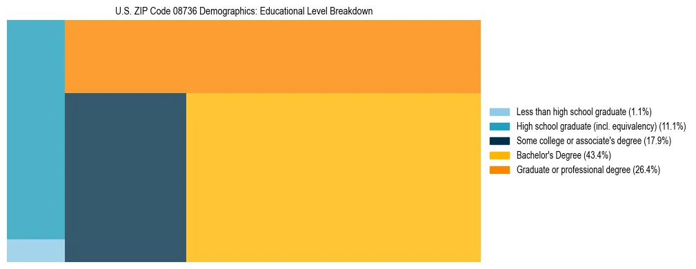 Treemap chart illustrating the educational attainment breakdown for population 25 years and over in US ZIP Code 08736.