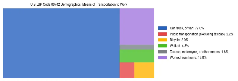 Treemap showing means of transportation to work distribution in US ZIP Code 08742.