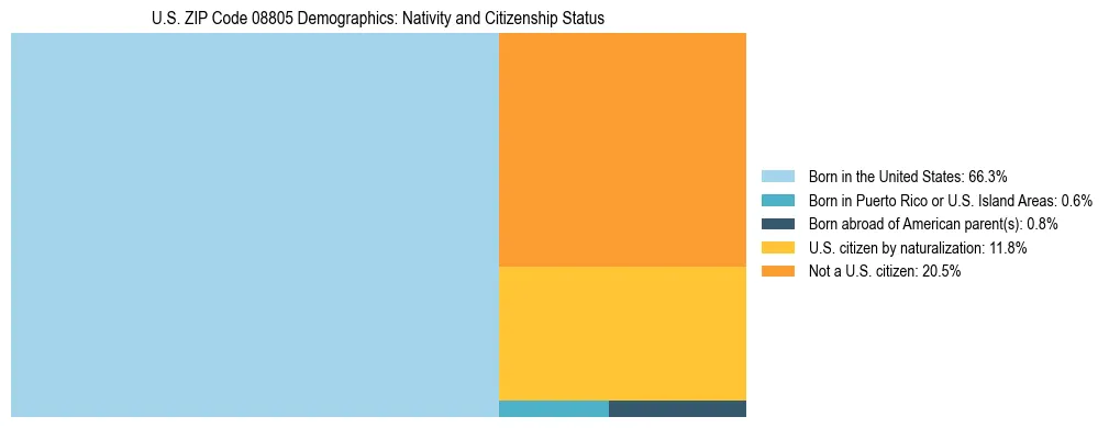 Treemap showing the population distribution by nativity and citizenship status in US ZIP Code 08805 based on U.S. Census data.