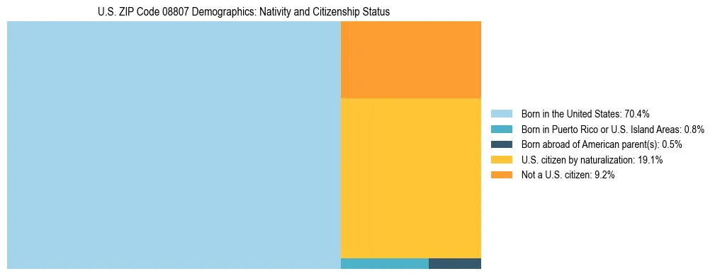 Treemap showing the population distribution by nativity and citizenship status in US ZIP Code 08807 based on U.S. Census data.