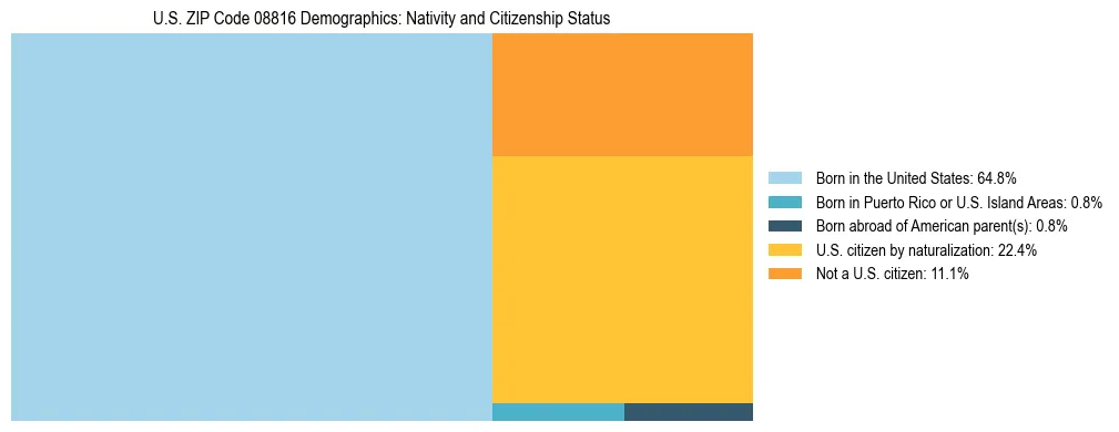 Treemap showing the population distribution by nativity and citizenship status in US ZIP Code 08816 based on U.S. Census data.