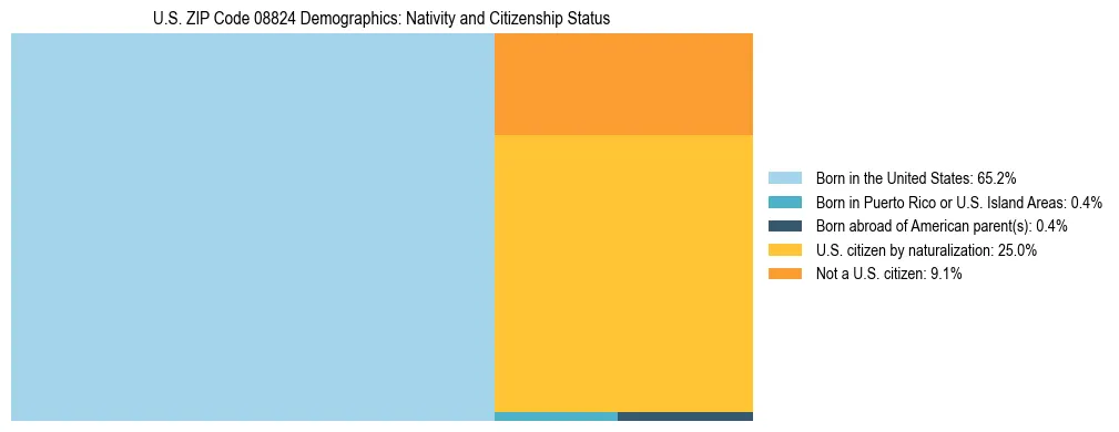 Treemap showing the population distribution by nativity and citizenship status in US ZIP Code 08824 based on U.S. Census data.