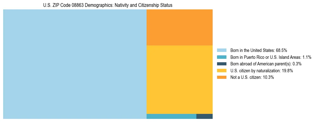 Treemap showing the population distribution by nativity and citizenship status in US ZIP Code 08863 based on U.S. Census data.