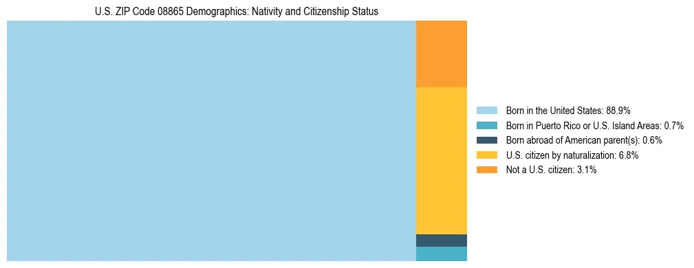 Treemap showing the population distribution by nativity and citizenship status in US ZIP Code 08865 based on U.S. Census data.
