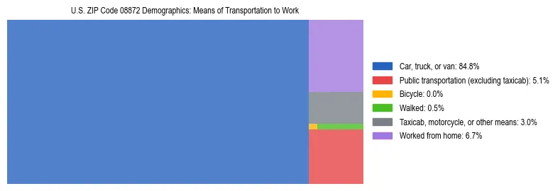 Treemap showing means of transportation to work distribution in US ZIP Code 08872.
