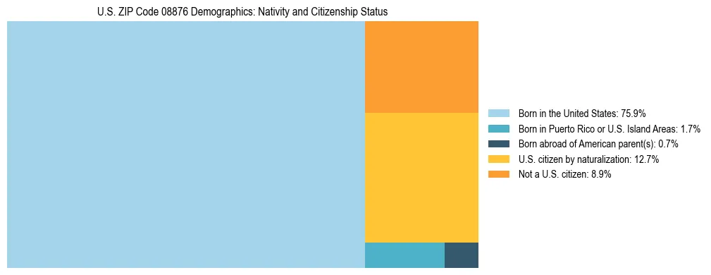 Treemap showing the population distribution by nativity and citizenship status in US ZIP Code 08876 based on U.S. Census data.