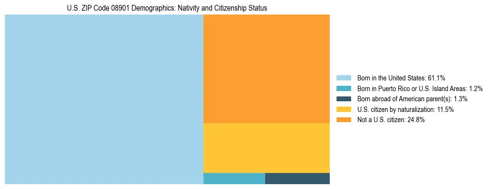 Treemap showing the population distribution by nativity and citizenship status in US ZIP Code 08901 based on U.S. Census data.