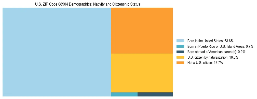 Treemap showing the population distribution by nativity and citizenship status in US ZIP Code 08904 based on U.S. Census data.