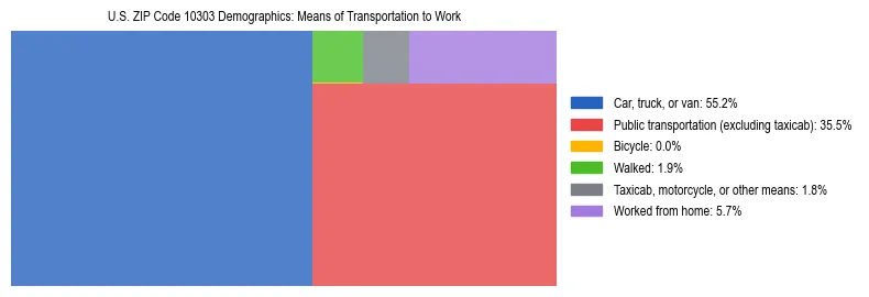 Treemap showing means of transportation to work distribution in US ZIP Code 10303.