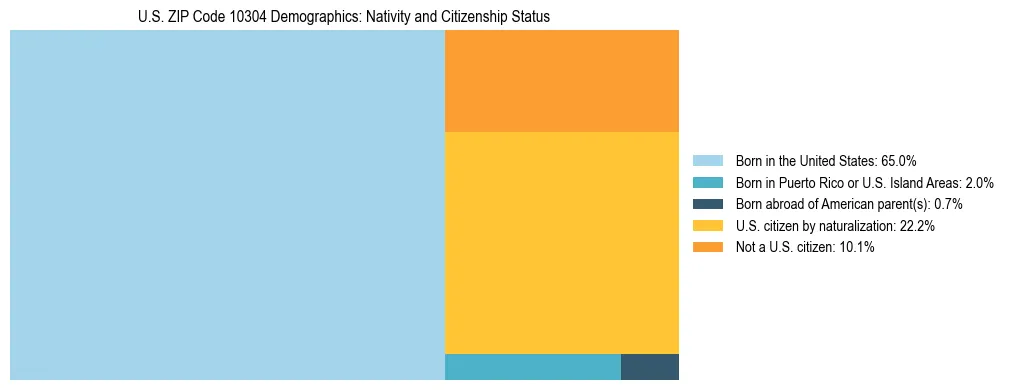 Treemap showing the population distribution by nativity and citizenship status in US ZIP Code 10304 based on U.S. Census data.