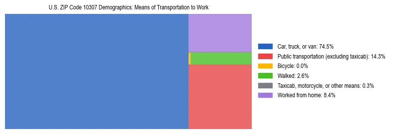 Treemap showing means of transportation to work distribution in US ZIP Code 10307.
