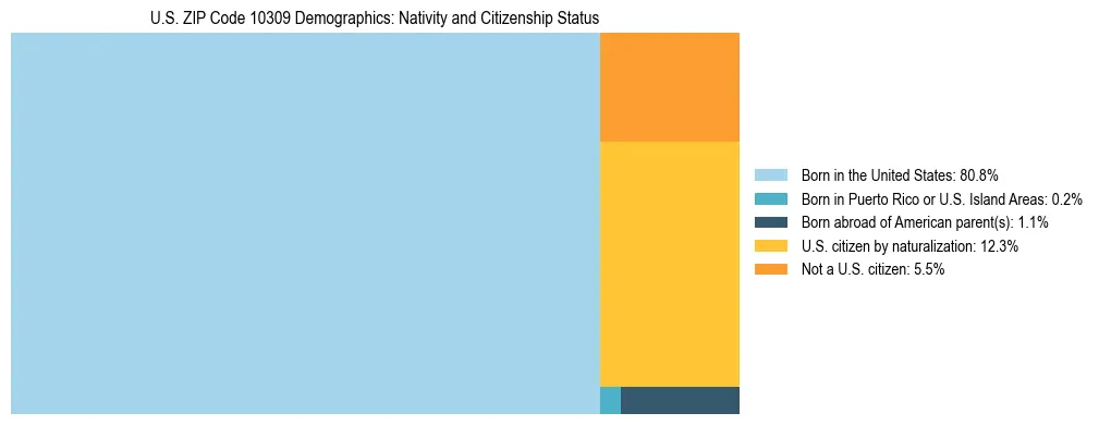 Treemap showing the population distribution by nativity and citizenship status in US ZIP Code 10309 based on U.S. Census data.