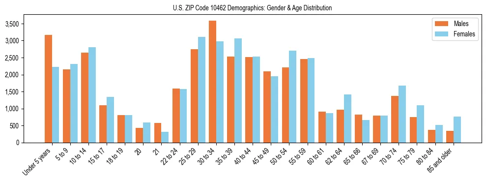 Bar chart showing the population distribution of US ZIP Code 10462 by age group and gender, based on 2023 ACS data.