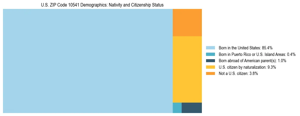 Treemap showing the population distribution by nativity and citizenship status in US ZIP Code 10541 based on U.S. Census data.