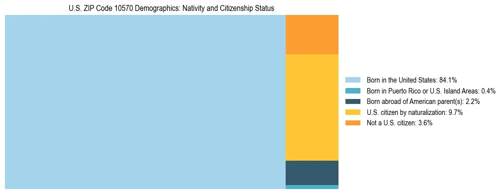 Treemap showing the population distribution by nativity and citizenship status in US ZIP Code 10570 based on U.S. Census data.