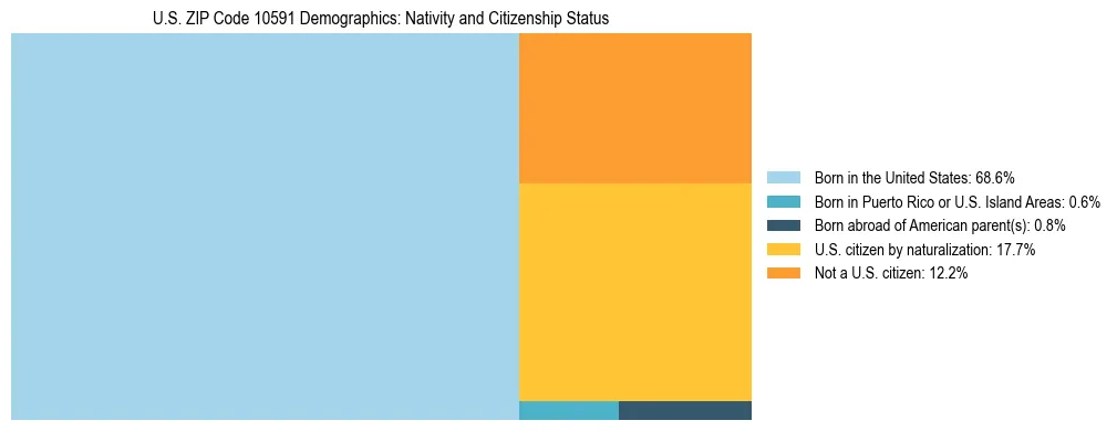 Treemap showing the population distribution by nativity and citizenship status in US ZIP Code 10591 based on U.S. Census data.