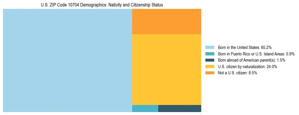 Treemap showing the population distribution by nativity and citizenship status in US ZIP Code 10704 based on U.S. Census data.