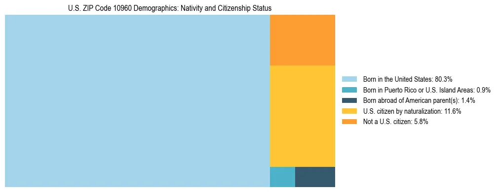 Treemap showing the population distribution by nativity and citizenship status in US ZIP Code 10960 based on U.S. Census data.