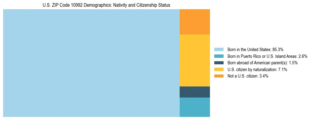 Treemap showing the population distribution by nativity and citizenship status in US ZIP Code 10992 based on U.S. Census data.