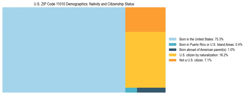 Treemap showing the population distribution by nativity and citizenship status in US ZIP Code 11010 based on U.S. Census data.