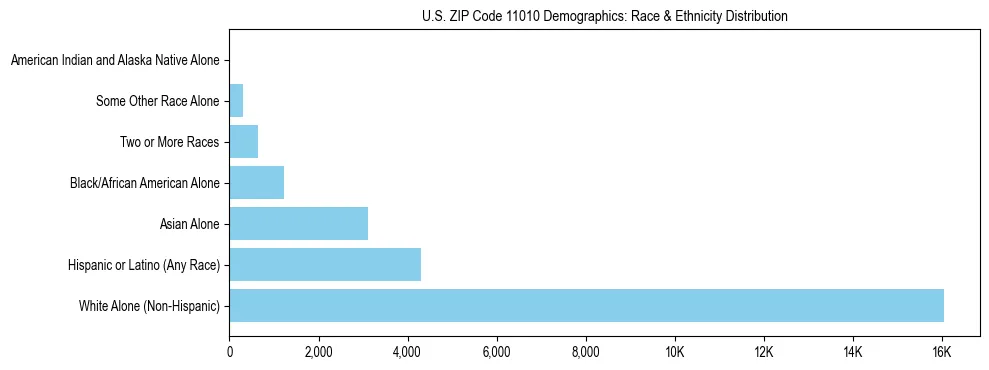 Race and Ethnicity Distribution Chart for US ZIP Code 11010
