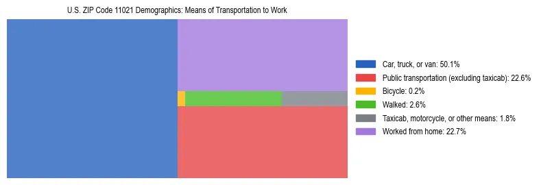 Treemap showing means of transportation to work distribution in US ZIP Code 11021.
