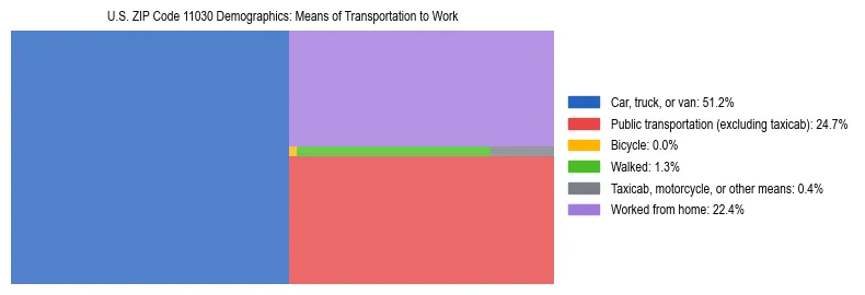 Treemap showing means of transportation to work distribution in US ZIP Code 11030.