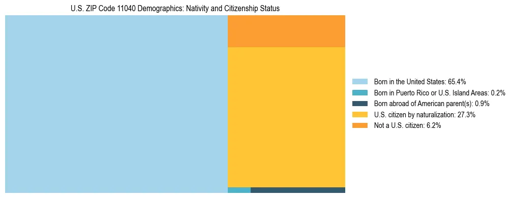 Treemap showing the population distribution by nativity and citizenship status in US ZIP Code 11040 based on U.S. Census data.