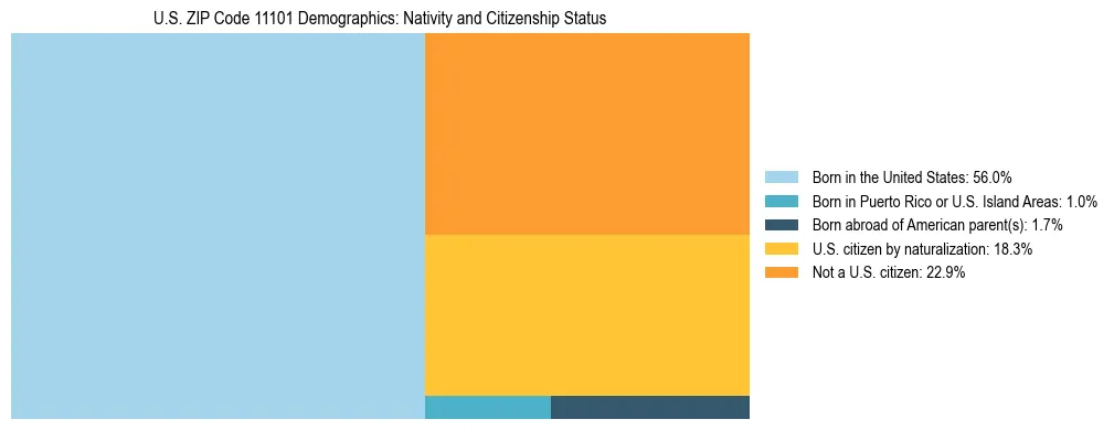 Treemap showing the population distribution by nativity and citizenship status in US ZIP Code 11101 based on U.S. Census data.