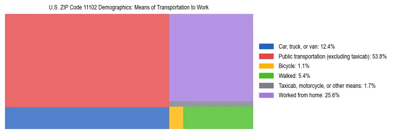 Treemap showing means of transportation to work distribution in US ZIP Code 11102.