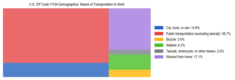 Treemap showing means of transportation to work distribution in US ZIP Code 11104.