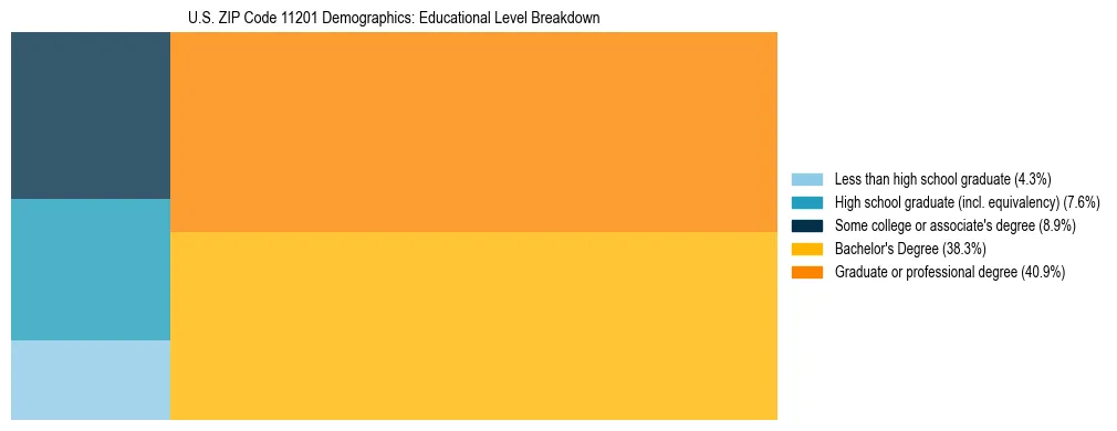 Treemap chart illustrating the educational attainment breakdown for population 25 years and over in US ZIP Code 11201.