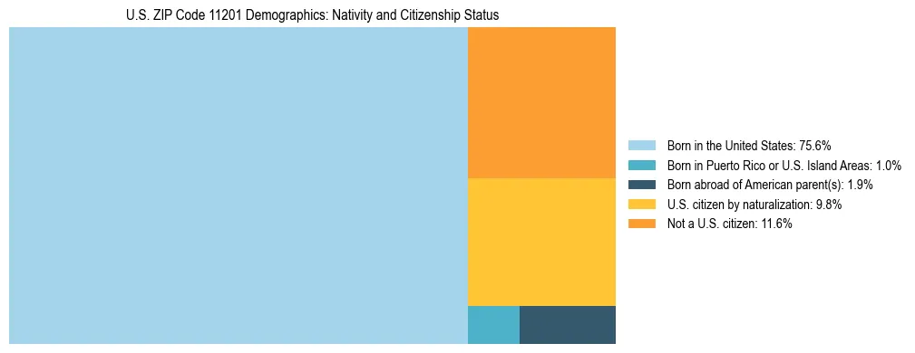 Treemap showing the population distribution by nativity and citizenship status in US ZIP Code 11201 based on U.S. Census data.