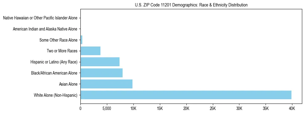 Race and Ethnicity Distribution Chart for US ZIP Code 11201