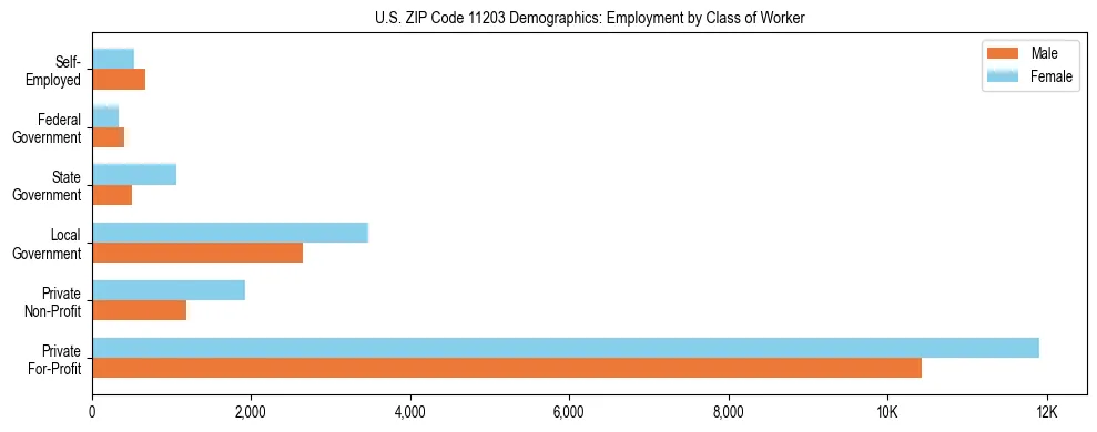 Horizontal bar chart showing employment distribution by class of worker and gender in US ZIP Code 11203, based on 2023 ACS data.